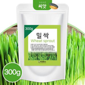 새싹 밀싹 씨앗 300g 고양이 캣글라스 새싹채소 씨앗 캣닢 캣그라스 키우기