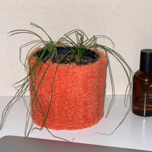 pot cover - carrot 화분커버