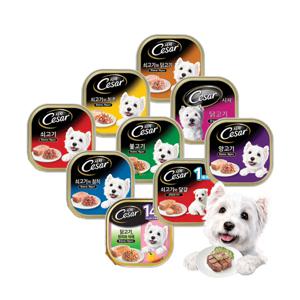 강아지간식 시저 24캔 모음/다양한맛의 인기간식