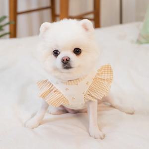 체리 엔젤 오가닉 강아지 티셔츠 멍고메리