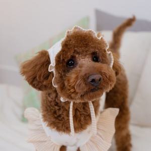 체리 엔젤 오가닉 강아지 보닛 모자 멍고메리