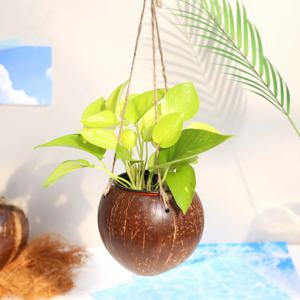 형광 스킨답서스 코코넛 걸이화분 행잉플랜트