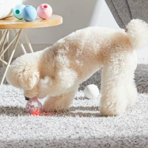 로이코 노즈워크 장난감 공 전용 야광 발광 LED볼