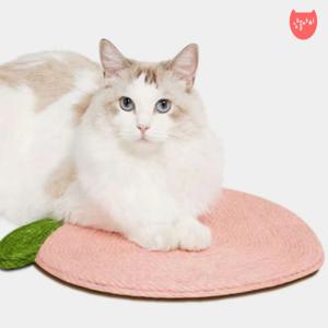 수직 벽부착 복숭아 스크래쳐 코너