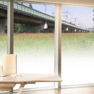 창문 유리 시트지 썬팅지 망입 PET 안전 필름