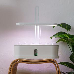 가정용  LED 식물 수경 재배기 + 추가 스펀지 10개 스마트팜 새싹 상추