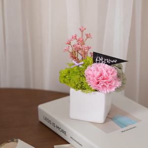 비누 카네이션 조화 화분 아트 set 13cm 2컬러 꽃 어버이날 스승의날