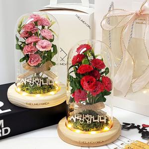 카네이션 유리돔 무드등 어버이날 스승의날 선물_6type(금카네이션, 홀로그램, 조화)