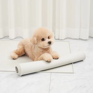 카라즈펫 강아지 논슬립 안심 실리콘 배변매트 2size