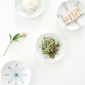 에가와리 반찬접시 16cm
