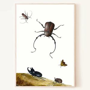 풍뎅이와 하늘소 딱정벌레 그림 아기자기한 곤충 포스터 액자