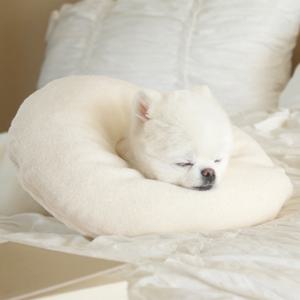 강아지넥카라 마이베이비 오가닉 넥카라