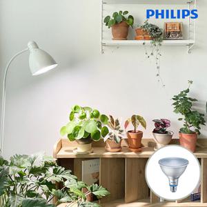 PHILIPS PAR38 LED 식물조명 식물등