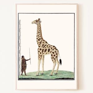 아프리카 원주민과 기린 세렝게티 초원 빈티지 포스터