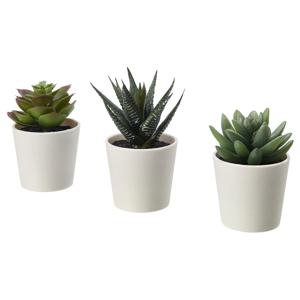 다육 3종세트 조화인조식물 페이카 (화분지름:6cm)