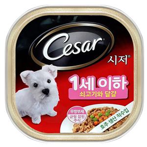 마즈 시저캔 퍼피(1세이하) 100g 강아지 습식캔