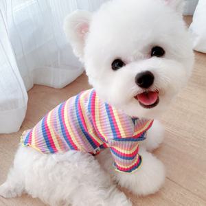 강아지옷 반려동물 레인보우 골지 티셔츠