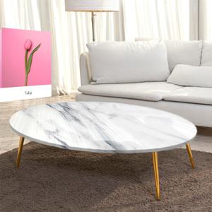 서핑보드 대리석 좌식 소파 골드 다리 거실 테이블 1200 x 600