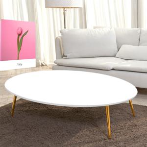 서핑보드 화이트 좌식 소파 골드 다리 원목 다리 거실 테이블 1200 x 600
