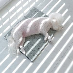 [리퍼] 천연석 단품 초특가 강아지 고양이 대리석 쿨매트 썸머스톤