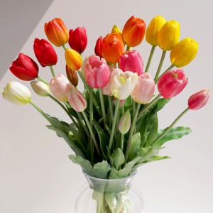 망고 튤립 조화 5송이 다발 6color