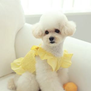 22SS 라보떼 크롭 나시 티셔츠 5COLOR 명품강아지옷 봄,여름