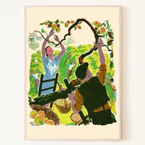 드레이크 브룩쇼 - 사과따기