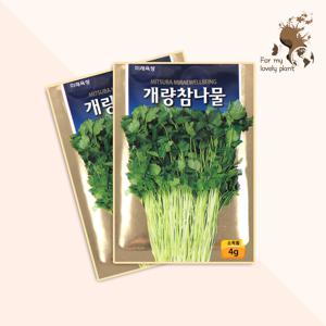 개량참나물 4g 미래종묘 민족특수 씨앗