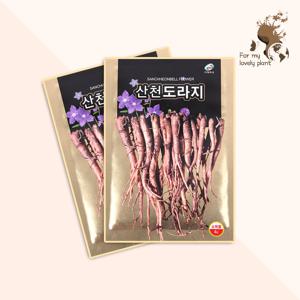 산천도라지 4g 미래종묘 민족특수 씨앗