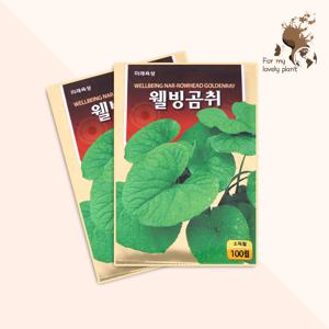 웰빙곰취 100립 미래종묘 민족특수 씨앗
