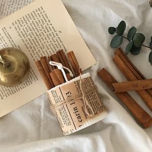 벌레퇴치 천연 시나몬 캔들 공기정화 습기제거 오브제 향초 집들이 선물