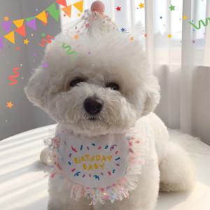생일파티 꼬깔모자세트