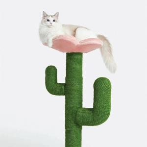 고양이 플라워 선인장 스크래쳐 L