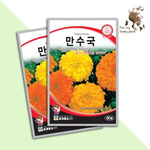 만수국 60립 세계종묘 화훼류 씨앗 메리골드