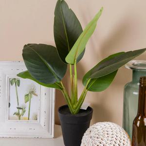 1+1 미니 바나나잎 소형 조화나무 36cm