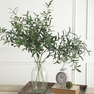 올리브 열매 긴가지_2types