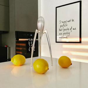 레몬 스퀴저 오브제 착즙기/과즙기 2color