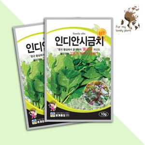 인디안시금치 10g 세계종묘 잎채류 씨앗