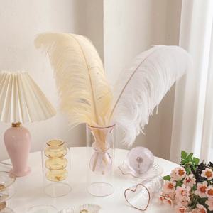 리얼 타조 깃털 장식 로망 홈카페 인테리어 소품