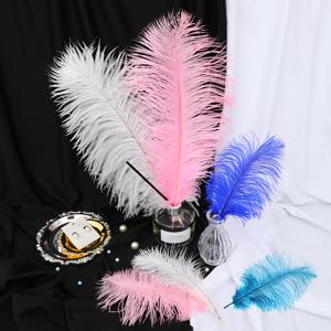 타조 깃털 인테리어 데코 소품