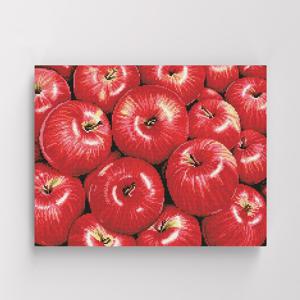 DIY캔버스형 보석십자수 40x50cm 행운의 홍사과