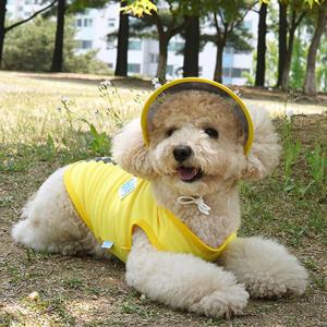 [리퍼]강아지 아웃도어 쿨 썬캡 티셔츠세트 (3color) S~3XL