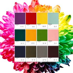 팬톤 카드 촬영 소품 12colors