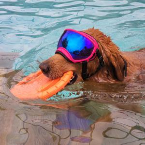 강아지 수영장 장난감 캐치미 EVA 터그링 물놀이 원반 터그놀이 핸들러