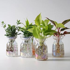 홀로그램 수경 재배 DIY 공기정화식물 인테리어 화분 1SET+1SET