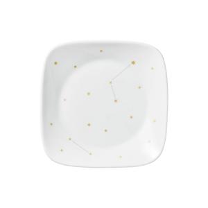 스타게이징 사각접시소