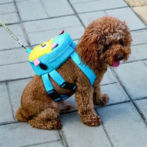 애견 캐릭터 두눈박이 산책가방 하네스 가슴줄