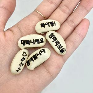 인테리어 자라나는 글자콩 키우기 DIY 키트 체험 홈스쿨링