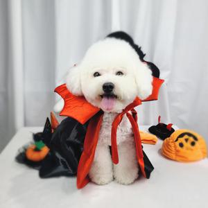 강아지 고양이 애견 케이프 할로윈 뱀파이어 코스튬 드라큘라 백작망토
