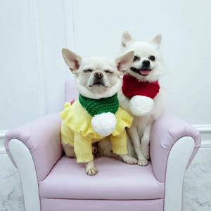 강아지 고양이 왕방울 목도리
